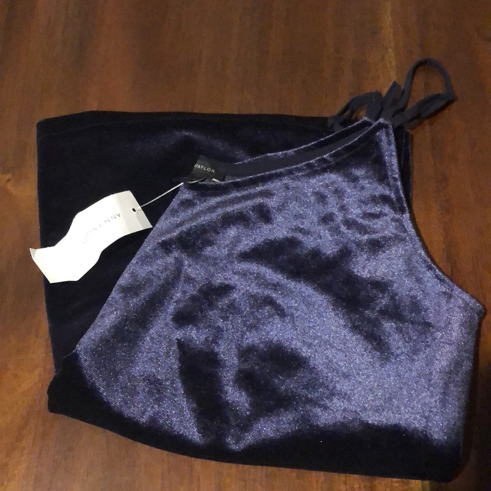 Ann Taylor Velvet Swing Cami